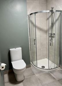 a bathroom with a toilet and a glass shower at Dingle Harbour Lodge B&B in Dingle