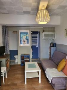 ein Wohnzimmer mit einem Sofa und einem Tisch in der Unterkunft Studette indépendante et coquette avec terrasse sur jardin in Marseille