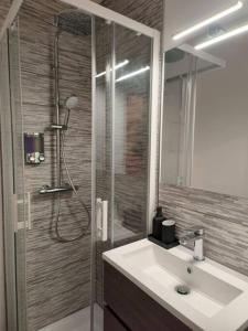 a bathroom with a shower and a sink and a shower at Charmant studio - Gare colmar in Colmar +14 photos