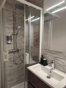 a bathroom with a shower with a sink and a shower at Charmant studio - Gare colmar in Colmar