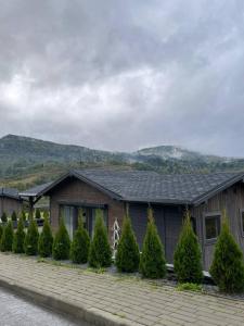 a house with a lot of trees in front of it at Tustan Apart in Urych