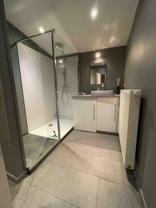 a bathroom with a shower and a sink at Loft pour escapade en amoureux ou en famille. in Chaudfontaine