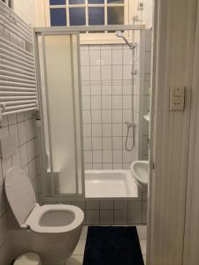 een badkamer met een toilet, een douche en een wastafel bij Dinkel Verblijf in Denekamp