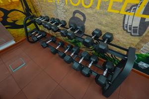 Fitness centrum a/nebo fitness zařízení v ubytování The Grand Lux Hotel