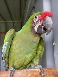 Billede fra billedgalleriet på Quinta do Lordelo Turismo Rural i Penafiel + 21 billeder