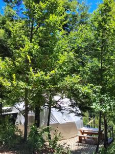 Zahrada ubytování Malalcahuello Eco Glamp