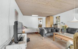 ein Wohnzimmer mit einem Sofa und einem TV in der Unterkunft Gorgeous Apartment In Blokhus With Kitchen in Blokhus