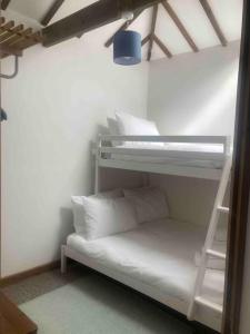 een kamer met 2 stapelbedden en een ladder bij 2-bedroom cottage in heart of St Ives w/ parking in St Ives