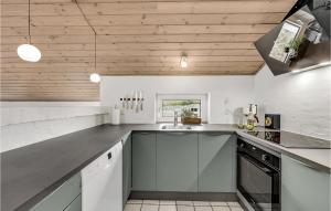a kitchen with white walls and a wooden ceiling at Nice Home In Thisted With Indoor Swimming Pool in Klitmøller