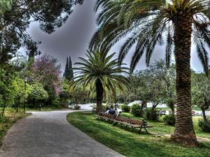 アテネにあるPicolinoの椰子の木が茂る公園のベンチに座る二人
