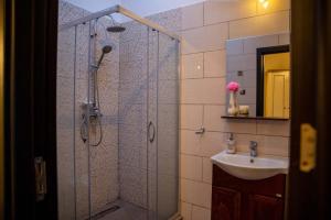 a bathroom with a shower and a sink at Oldtownvilla studio central in Sibiu +20 photos