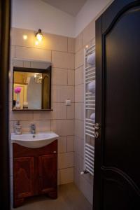 a bathroom with a sink and a mirror at Oldtownvilla studio central in Sibiu