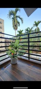 Un balcon sau o terasă la Mango Villa