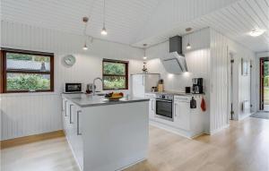 Cozy Home In Haderslev With Kitchen في Kelstrup: مطبخ مع أجهزة بيضاء وقمة كونتر