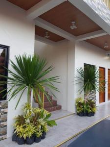 duas palmeiras em vasos ao lado de um edifício em FLB Apartelle Los Banos em Los Baños