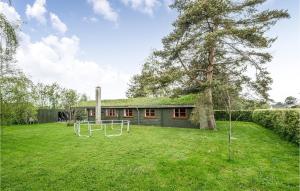 una casa con un patio de césped con un árbol en Nice Home In Otterup With Wifi en Otterup