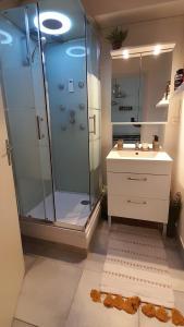 uma casa de banho com uma cabina de duche em vidro e um lavatório. em Le clos du poète em Bourges