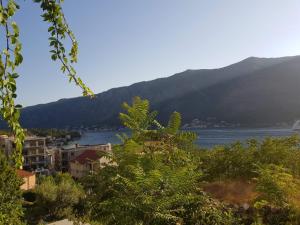 a view of a body of water with a mountain at Biser lux - Kotor Bay - Sea view & Swimming Pool in Kamenarovići