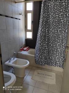 y baño con lavabo, aseo y cortina de ducha. en Triplex de diseño , amplio , luminoso y céntrico en Carmen de Patagones