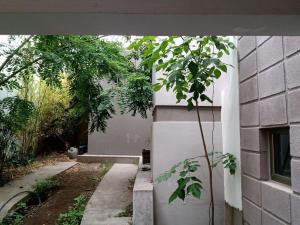 un edificio con un árbol delante de él en Triplex de diseño , amplio , luminoso y céntrico en Carmen de Patagones