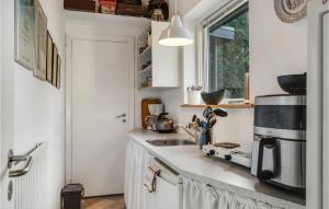 Kuchyň nebo kuchyňský kout v ubytování Cozy Apartment In Sæby With Wifi