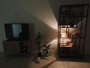 MiMo da Sé في براغانزا: غرفة معيشة مع تلفزيون ومصنع الفخار