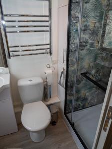 y baño con aseo y ducha. en Chez Dizjon, A Stunning Canalside Property, en Josselin