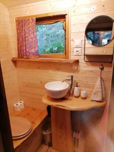 a bathroom with a sink and a toilet at Roulotte La Vert-Dîne in Saint-Pardoux