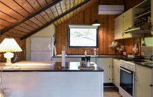 Η κουζίνα ή μικρή κουζίνα στο Nice Home In Skjern With Kitchen +6 φωτογραφίες
