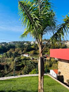 a palm tree sitting on top of a green field at Emiliadourohouse in Marco de Canavezes