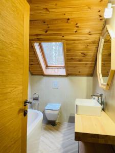 uma casa de banho com um WC com lavatório e uma clarabóia em Conacul Baciu em Fundu Moldovei