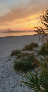 - un coucher de soleil sur une plage avec de l'herbe sur le sable dans l'établissement Trilocale Margine Rosso, à Quartu SantʼElena