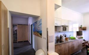 Kuchyň nebo kuchyňský kout v ubytování Apartmány U Aloise