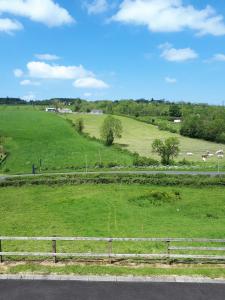 a field of green grass with a wooden fence at SWIFT HALF in Ballyconnell