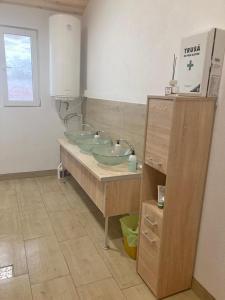 COMPLEX TURISTIC AVENTURA CAMP في إيشيلنيتسا: حمام مغسلتين على كاونتر