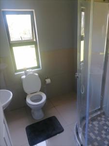 a bathroom with a toilet and a window and a shower at Goshen Place in East London