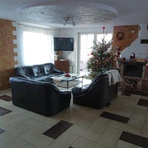 ein Wohnzimmer mit einem Weihnachtsbaum und zwei Sofas in der Unterkunft Dom Wigierski in Rosochaty Róg