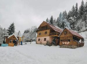 a large wooden house in the snow with trees at Pensiunea Trei brazi Scărișoara in Scărişoara
