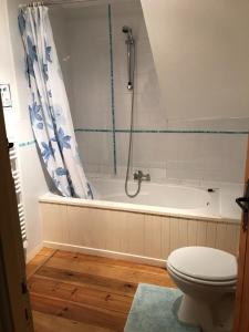 een badkamer met een douche, een toilet en een bad bij Les Cerisiers Gîtes in Lezay