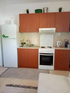 Dapur atau dapur kecil di Sunny mountain view apartment with free parking