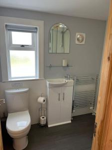a bathroom with a toilet and a sink and a window at Bixter House - a spacious self-catering property 