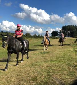 een groep mensen die paardrijden in een veld bij Lavender cottage in Gloucester