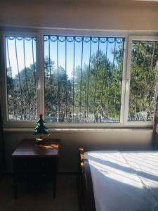 Chalet 20 Min Far To Uludag Ski Resort في Çekirge: غرفة نوم مع نافذة مع شجرة عيد الميلاد على طاولة