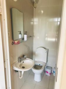a small bathroom with a toilet and a sink at Chalet 20 Min Far To Uludag Ski Resort in Çekirge