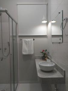 a bathroom with a sink and a glass shower at Aconchego e tranquilidade junto ao H. Mãe de Deus in Porto Alegre