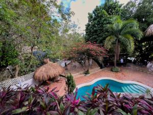 a resort swimming pool with a straw umbrella and trees at Lodge Cacao in El Zaino
