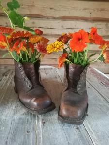 Afbeelding uit fotogalerij van Stabburet, Lensmannsgården in Namsos +12 foto's