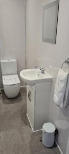 a white bathroom with a toilet and a sink at The Sanderling in Morecambe