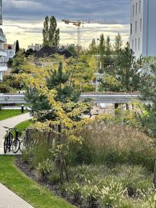 Una bicicleta estacionada junto a un árbol en un parque en Superbe appartement proche de Strasbourg, en Bischheim