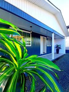 a blue building with a plant in front of it at Pousada Caminho do Altos in Bom Jardim da Serra